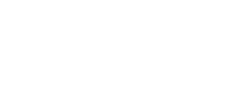 Besnik Bau
